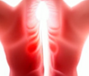 Back Pain Conditions and Cures